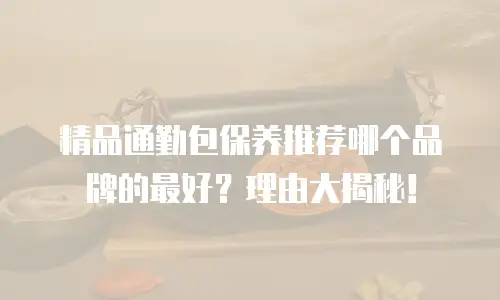 精品通勤包保养推荐哪个品牌的最好？理由大揭秘！