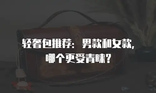 轻奢包推荐：男款和女款，哪个更受青睐？