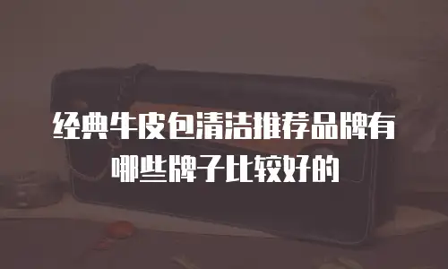 经典牛皮包清洁推荐品牌有哪些牌子比较好的