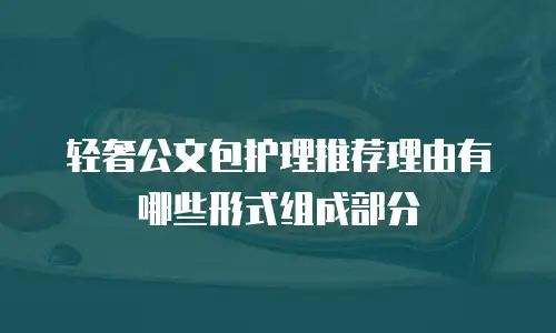 轻奢公文包护理推荐理由有哪些形式组成部分