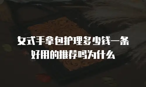 女式手拿包护理多少钱一条好用的推荐吗为什么
