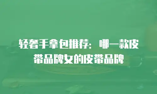 轻奢手拿包推荐：哪一款皮带品牌女的皮带品牌