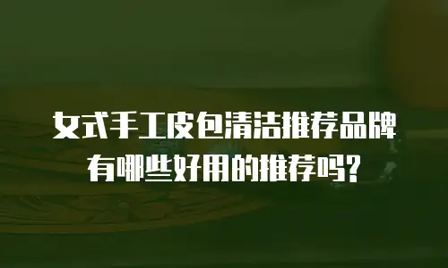 女式手工皮包清洁推荐品牌有哪些好用的推荐吗?