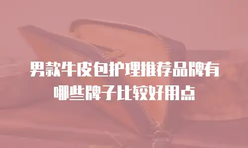 男款牛皮包护理推荐品牌有哪些牌子比较好用点