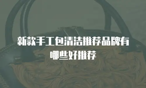 新款手工包清洁推荐品牌有哪些好推荐