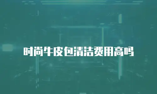 时尚牛皮包清洁费用高吗