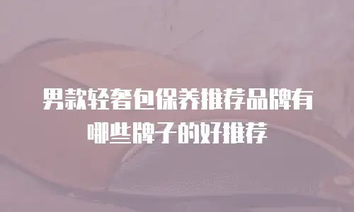 男款轻奢包保养推荐品牌有哪些牌子的好推荐
