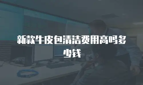 新款牛皮包清洁费用高吗多少钱