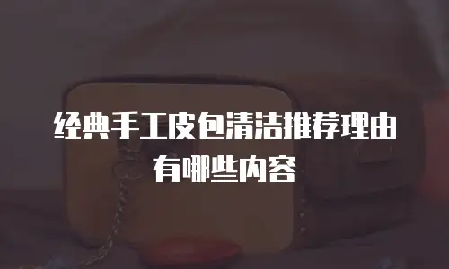 经典手工皮包清洁推荐理由有哪些内容