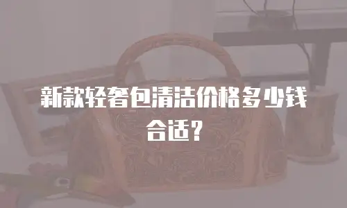 新款轻奢包清洁价格多少钱合适？