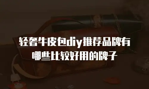 轻奢牛皮包diy推荐品牌有哪些比较好用的牌子