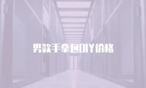男款手拿包DIY价格