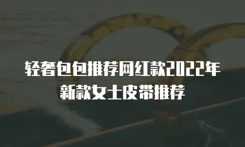 轻奢包包推荐网红款2022年新款女士皮带推荐