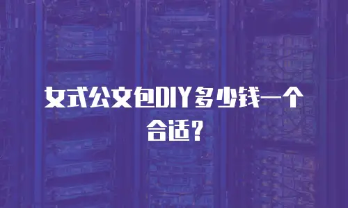 女式公文包DIY多少钱一个合适？