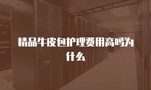 精品牛皮包护理费用高吗为什么