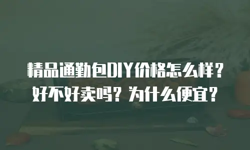 精品通勤包DIY价格怎么样？好不好卖吗？为什么便宜？