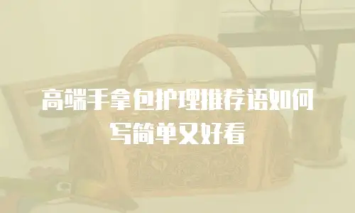 高端手拿包护理推荐语如何写简单又好看
