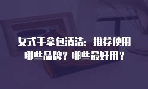 女式手拿包清洁：推荐使用哪些品牌？哪些最好用？