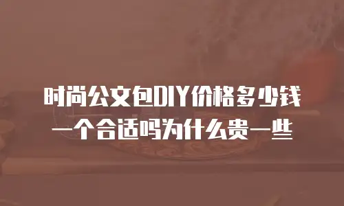 时尚公文包DIY价格多少钱一个合适吗为什么贵一些