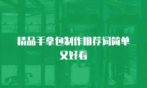 精品手拿包制作推荐词简单又好看