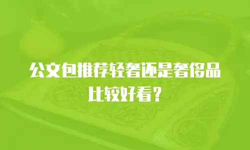 公文包推荐轻奢还是奢侈品比较好看？