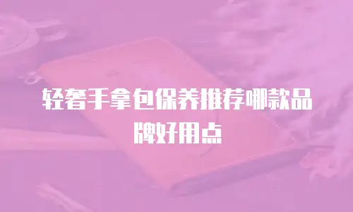 轻奢手拿包保养推荐哪款品牌好用点