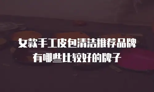 女款手工皮包清洁推荐品牌有哪些比较好的牌子
