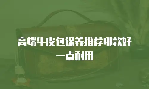 高端牛皮包保养推荐哪款好一点耐用