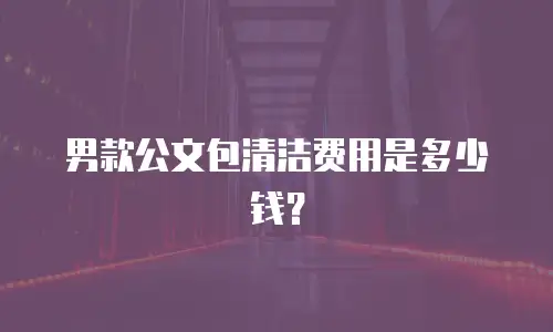 男款公文包清洁费用是多少钱？