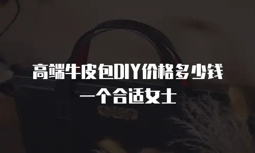 高端牛皮包DIY价格多少钱一个合适女士