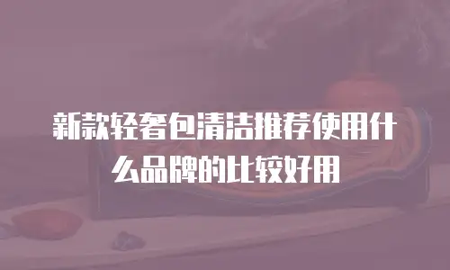 新款轻奢包清洁推荐使用什么品牌的比较好用