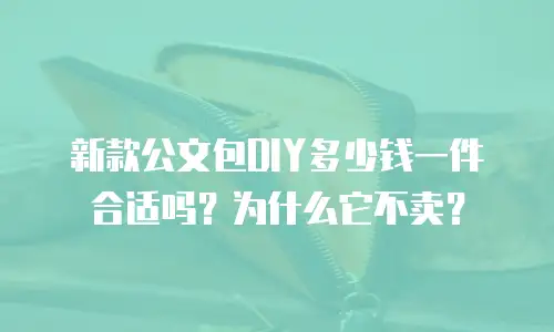 新款公文包DIY多少钱一件合适吗？为什么它不卖？