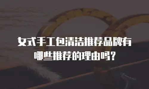女式手工包清洁推荐品牌有哪些推荐的理由吗？