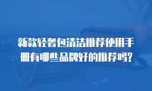 新款轻奢包清洁推荐使用手册有哪些品牌好的推荐吗?