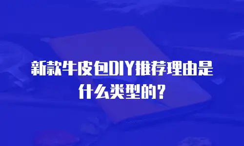 新款牛皮包DIY推荐理由是什么类型的？