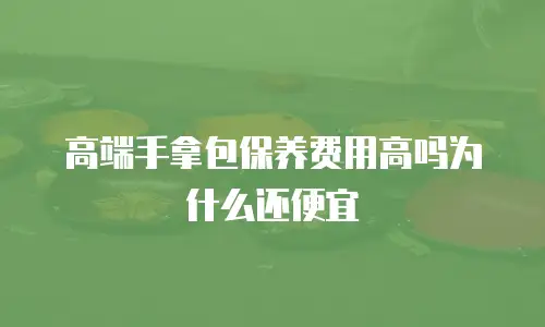 高端手拿包保养费用高吗为什么还便宜