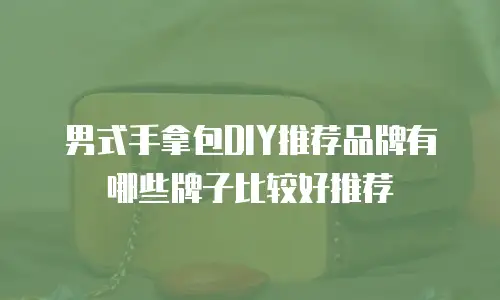 男式手拿包DIY推荐品牌有哪些牌子比较好推荐