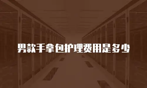 男款手拿包护理费用是多少