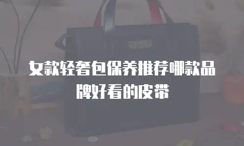女款轻奢包保养推荐哪款品牌好看的皮带
