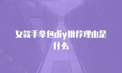 女款手拿包diy推荐理由是什么