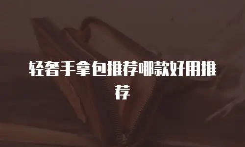 轻奢手拿包推荐哪款好用推荐