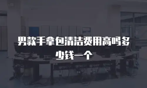 男款手拿包清洁费用高吗多少钱一个