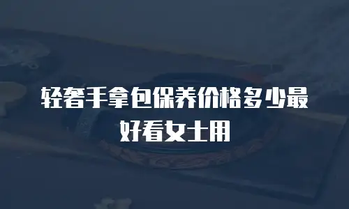 轻奢手拿包保养价格多少最好看女士用