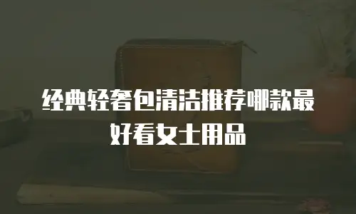 经典轻奢包清洁推荐哪款最好看女士用品