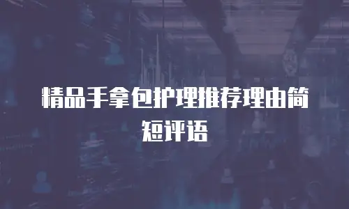 精品手拿包护理推荐理由简短评语
