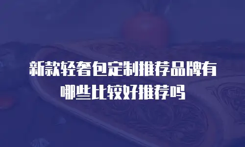 新款轻奢包定制推荐品牌有哪些比较好推荐吗