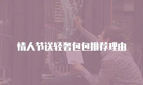 情人节送轻奢包包推荐理由