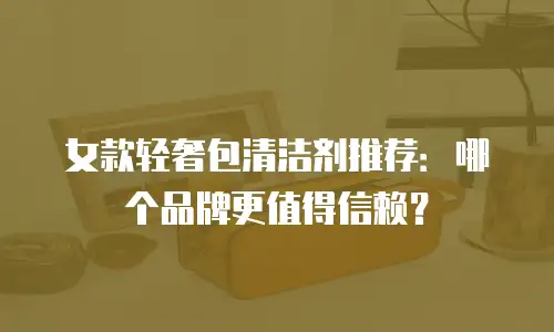 女款轻奢包清洁剂推荐：哪个品牌更值得信赖？