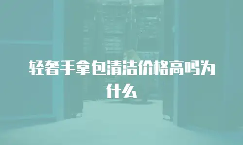 轻奢手拿包清洁价格高吗为什么