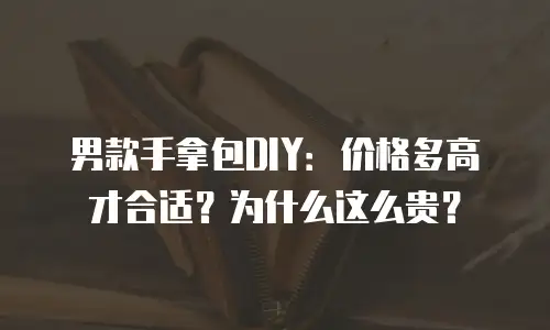 男款手拿包DIY：价格多高才合适？为什么这么贵？